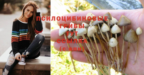 МДПВ Алексин