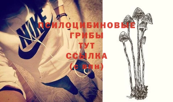гидра Гусь-Хрустальный