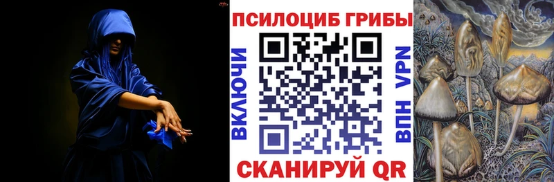 Галлюциногенные грибы Magic Shrooms shop наркотические препараты Кизилюрт МЕГА ссылка
