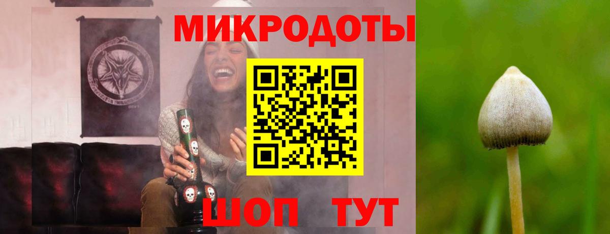 купить наркотик  Вход с VPN  Кизилюрт  Галлюциногенные грибы прущие грибы 