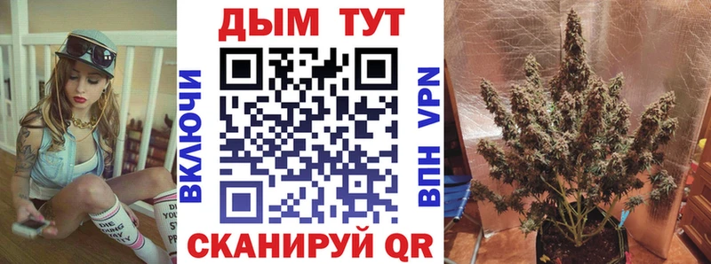 Марихуана конопля  купить закладку  Кизилюрт 